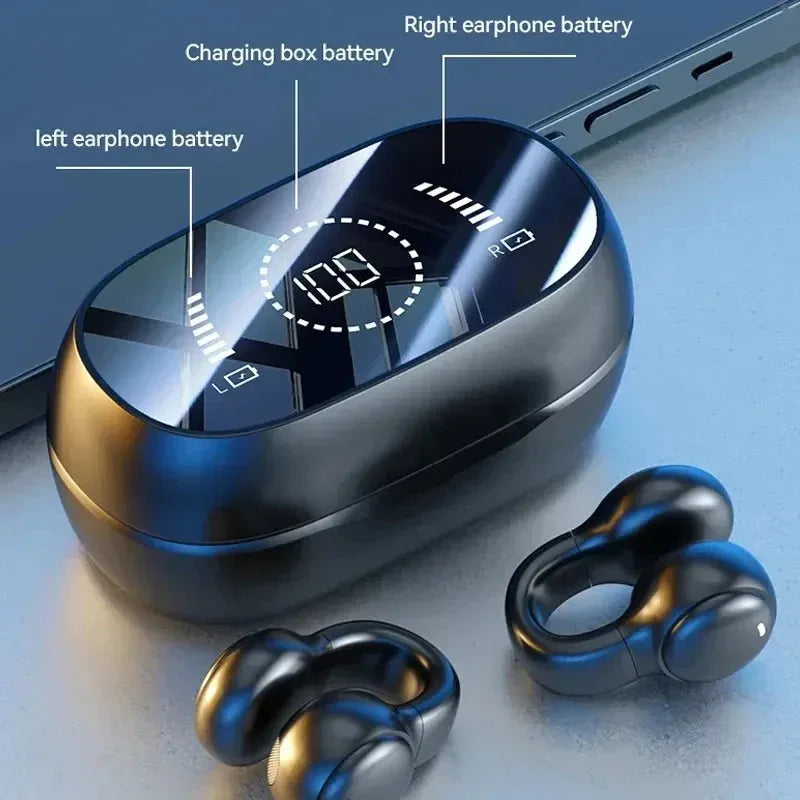 Audio Devices & Wearable Tech